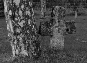 Crux