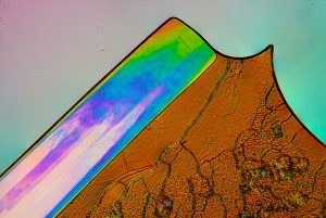 Plate Tectonics
