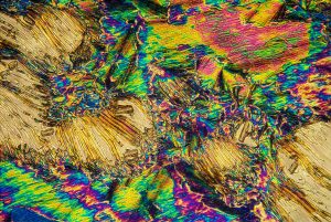 Hell Lava or Dog and Sheeps
