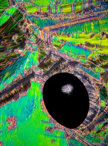 Oculus Ciclopnis